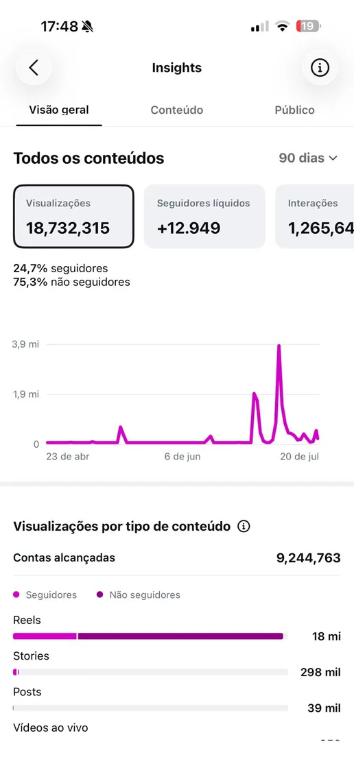 Print do Instagram Insights: Público